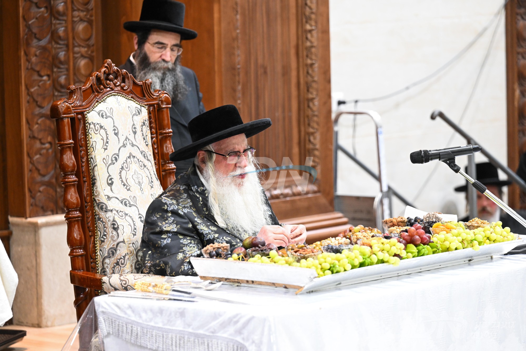 חמשה עשר בשבט אין צאנז