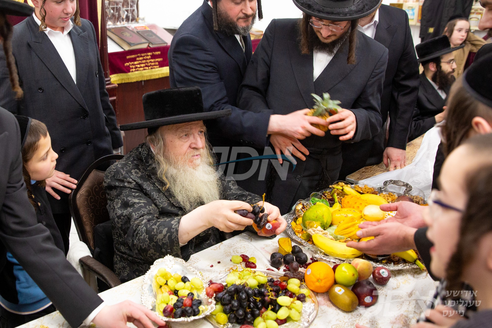 חמשה עשר בשבט אין צאנז זמיגראד