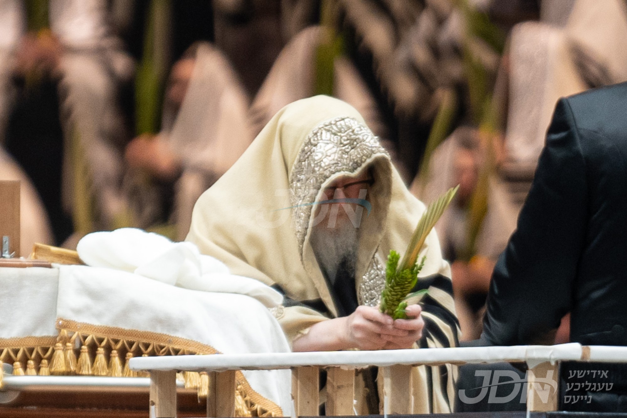 סוכות אין חצר הקודש סקווירא