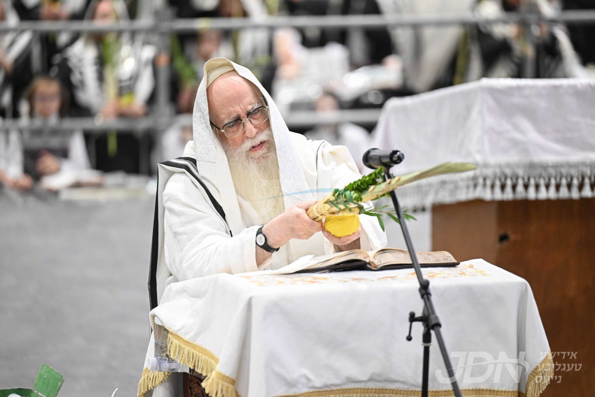 סוכות אין חצר הקודש צאנז