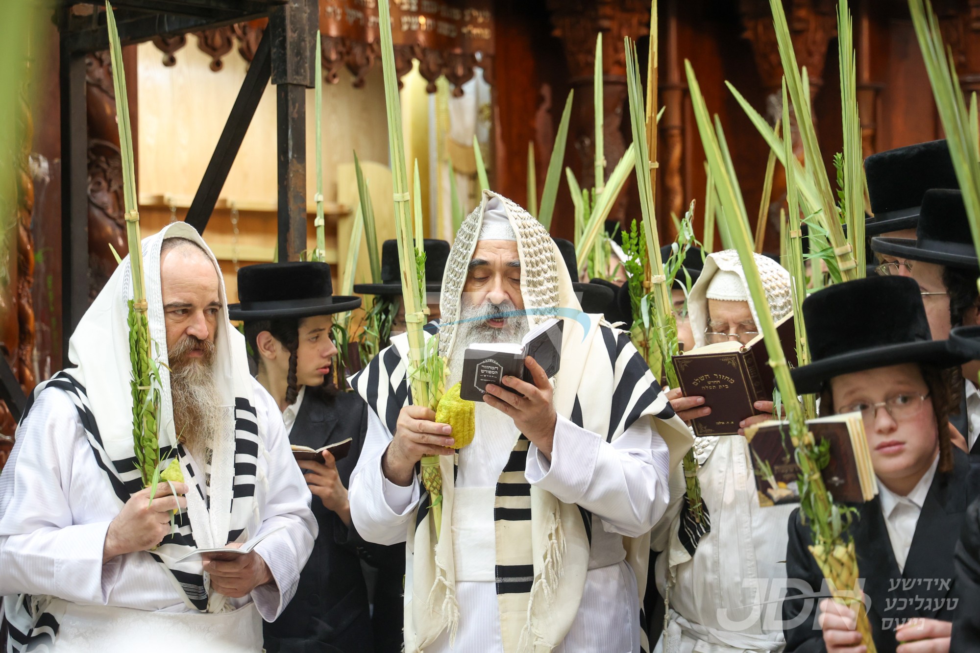 סוכות אין דושינסקיא