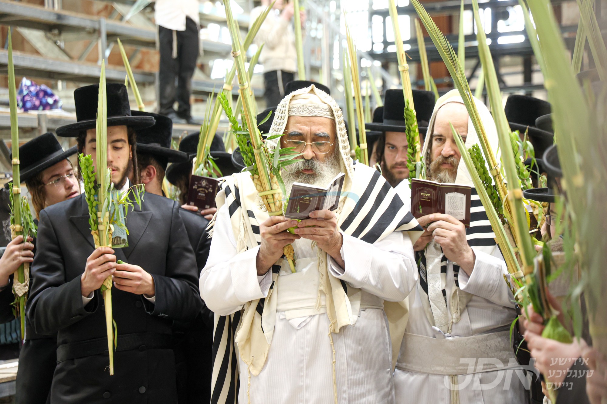 סוכות אין חצר הקודש דושינסקיא