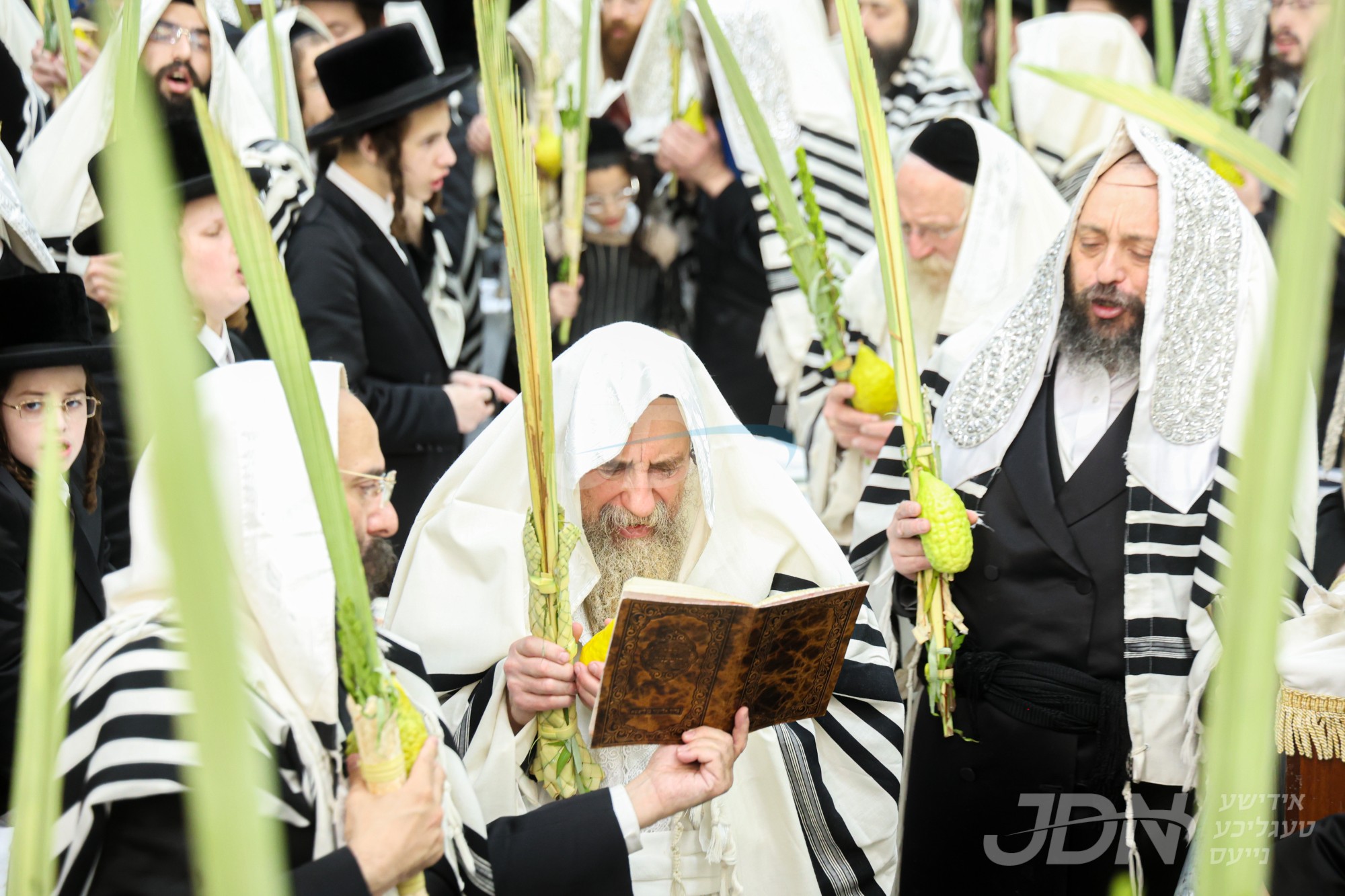 סוכות אין חצר הקודש ראחמיסטריווקא