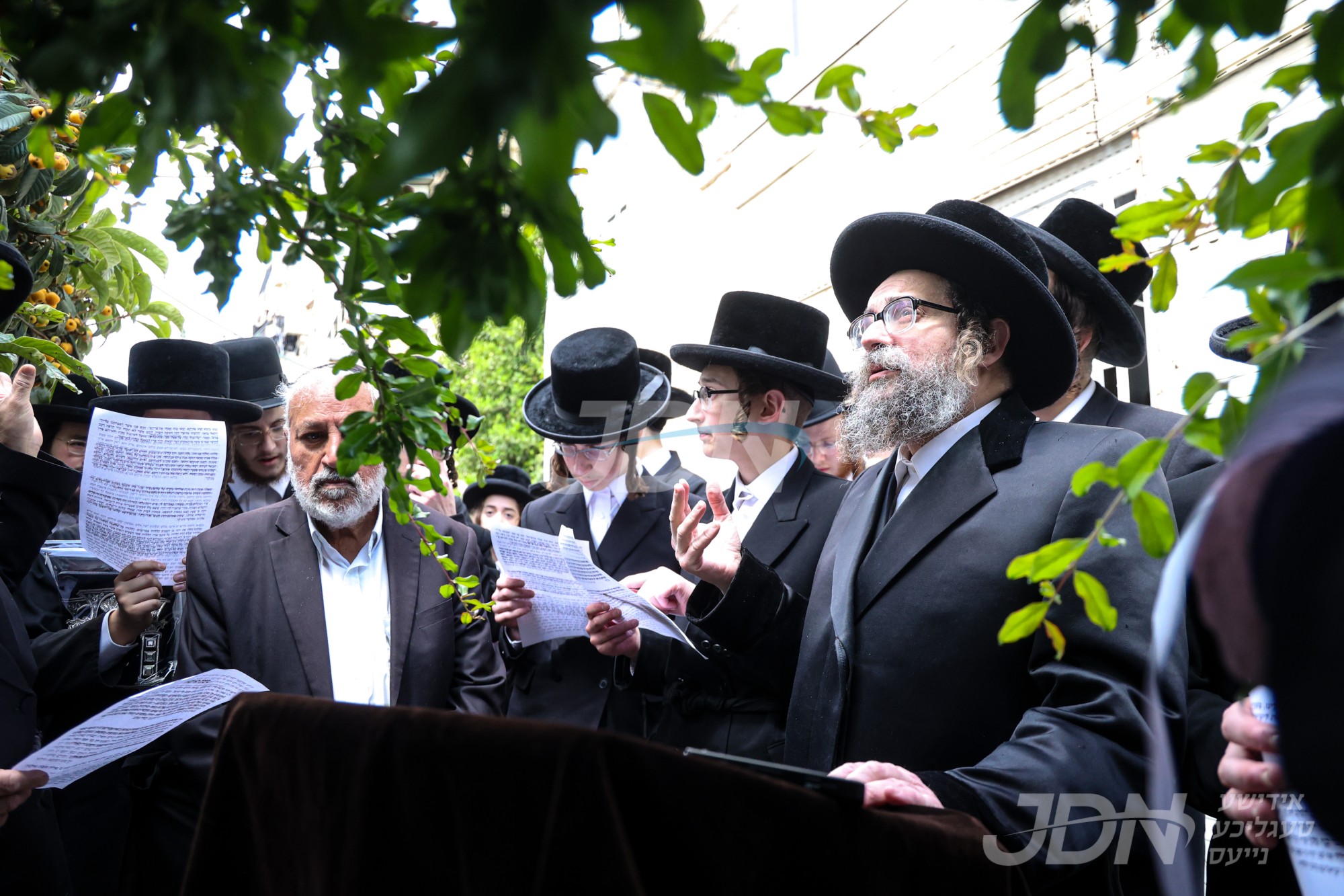 האדמו&quot;ר מסקולען ירושלים ביי ברכת אילנות