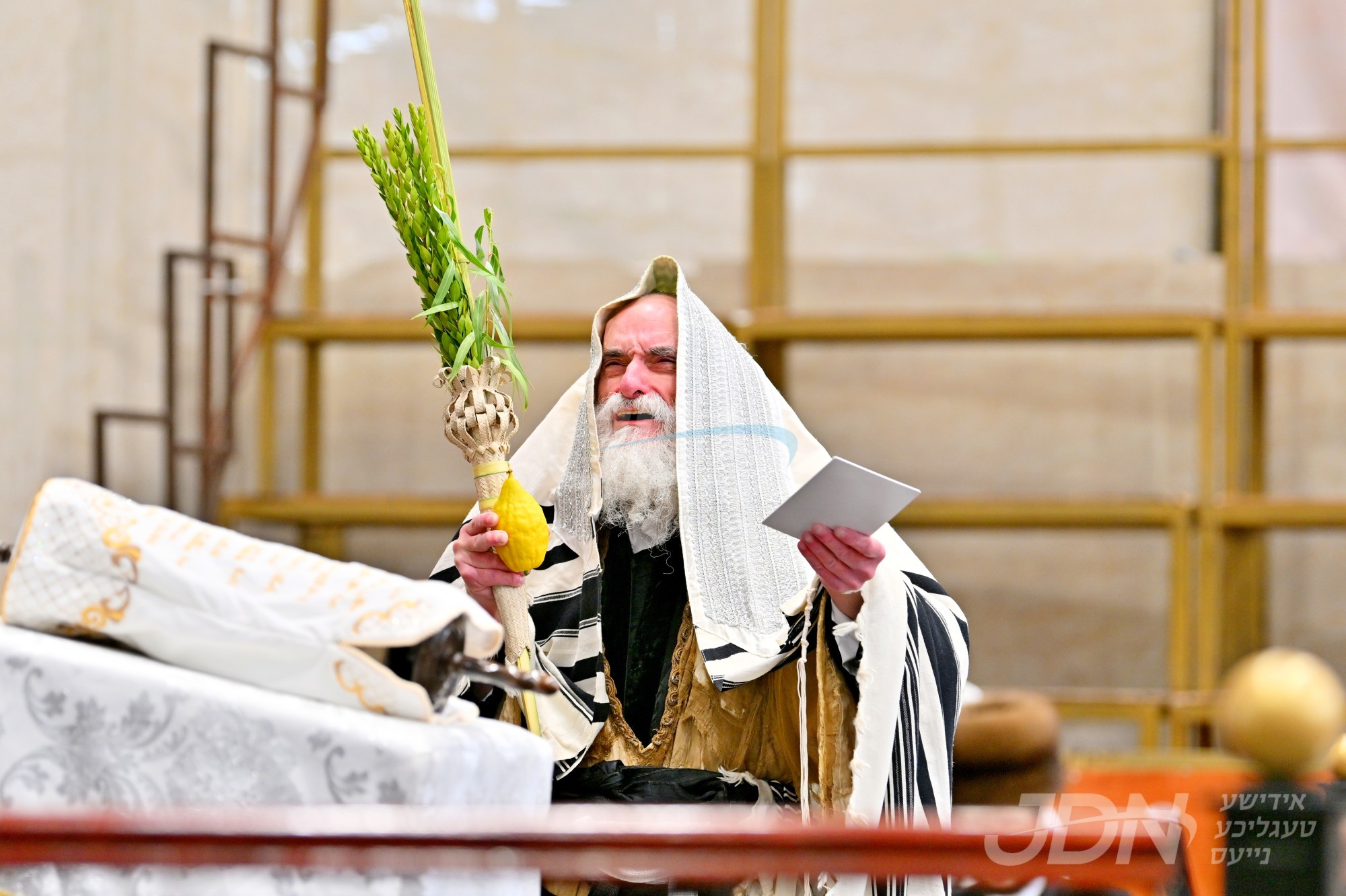 סוכות אין חצר הקודש וויזניץ