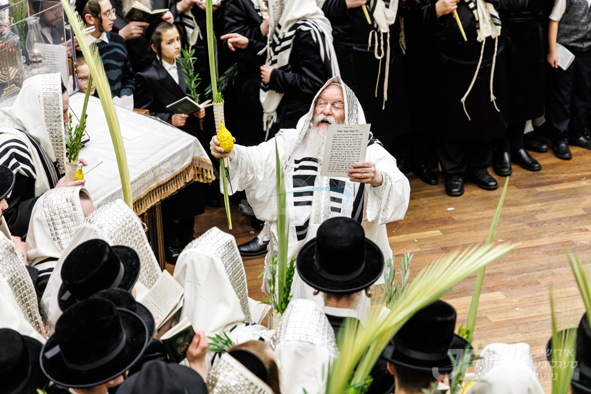 סוכות אין חצר הקודש באבוב