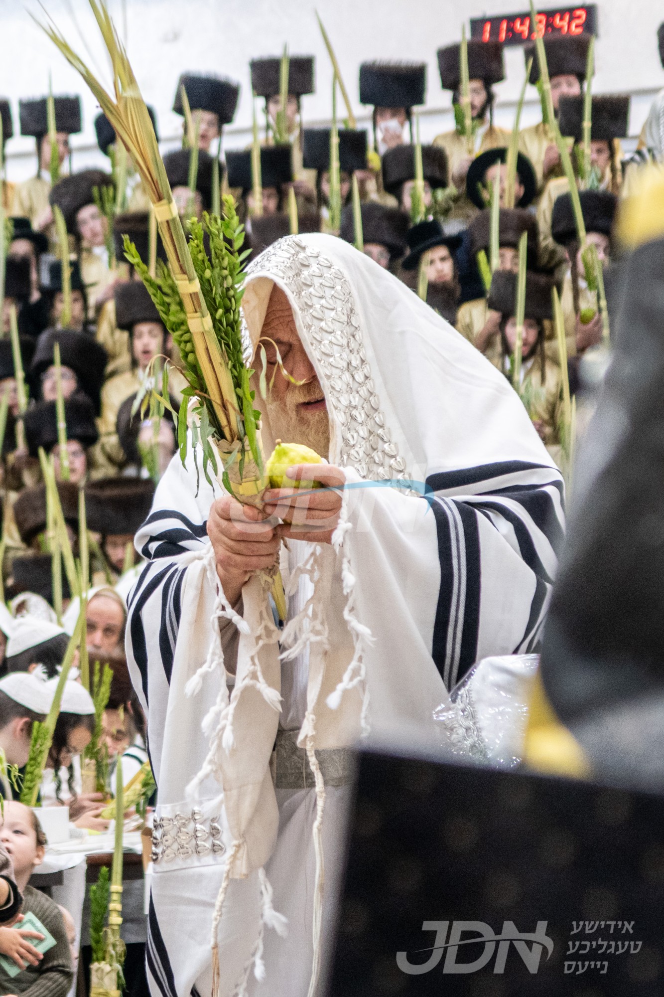 סוכות אין תולדות אהרן