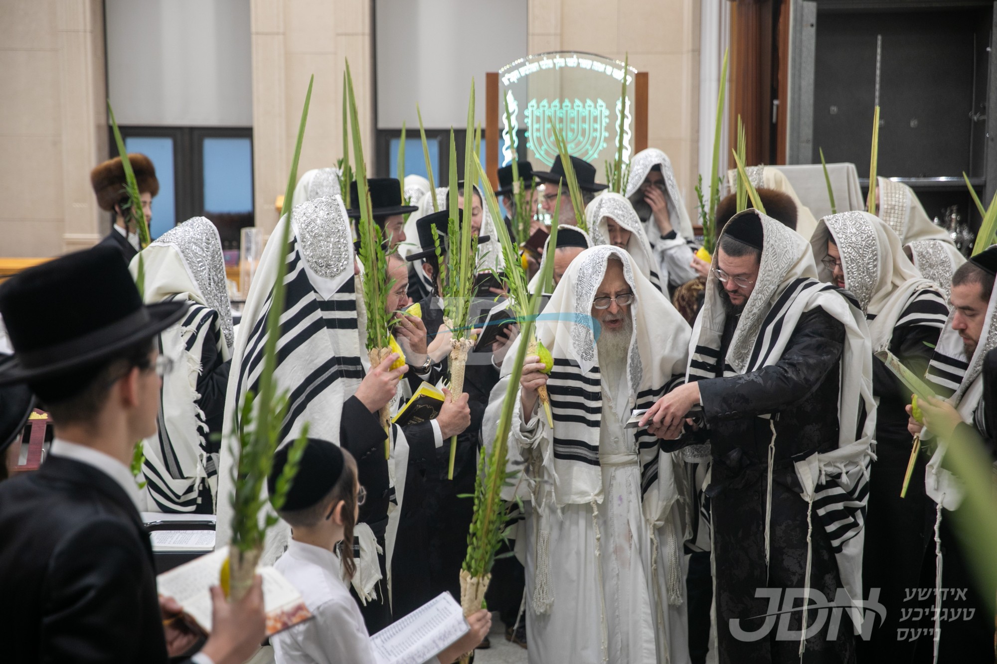 סוכות אין ספינקא