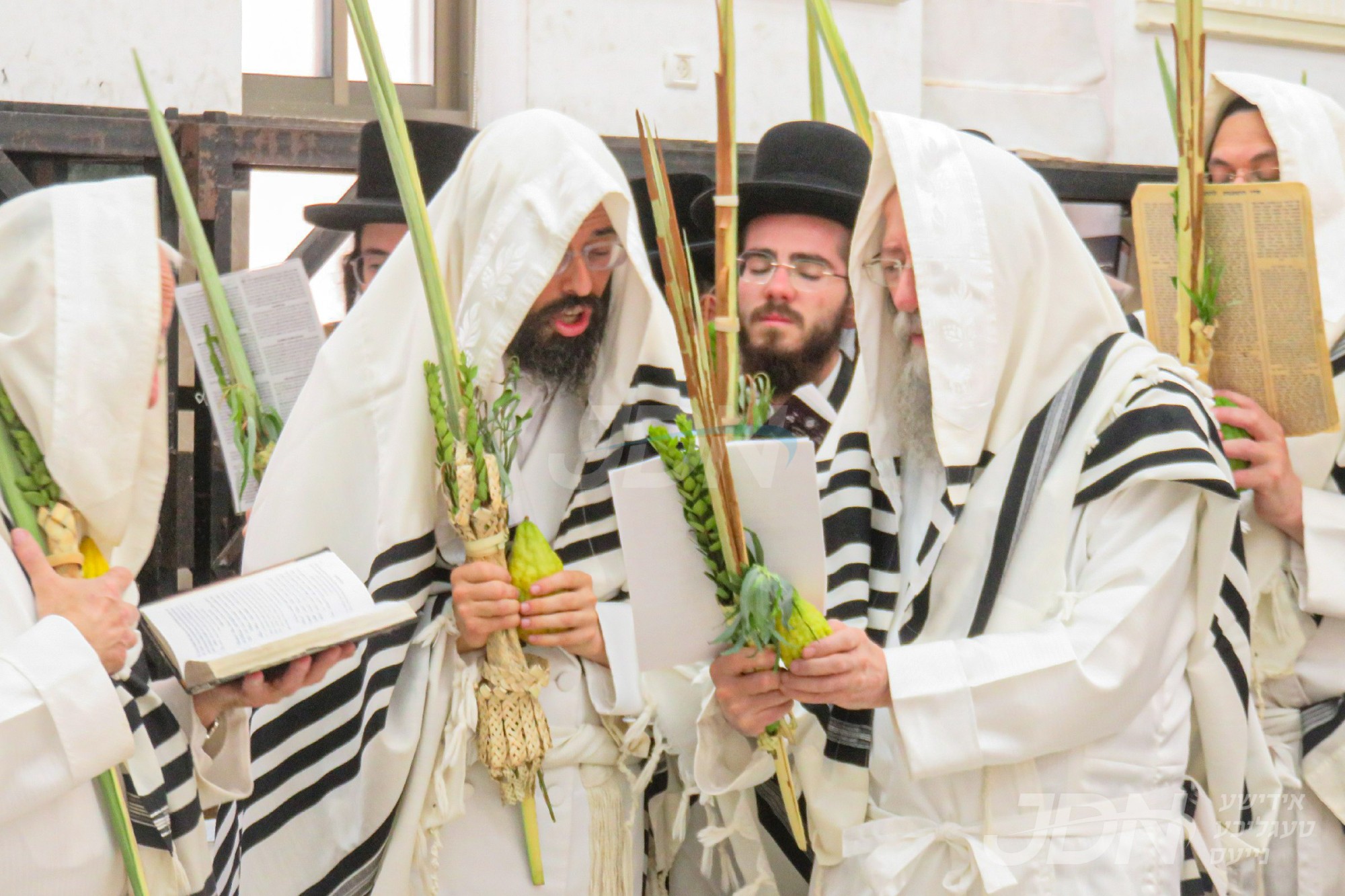 סוכות אין חצר הקודש זוועהיל