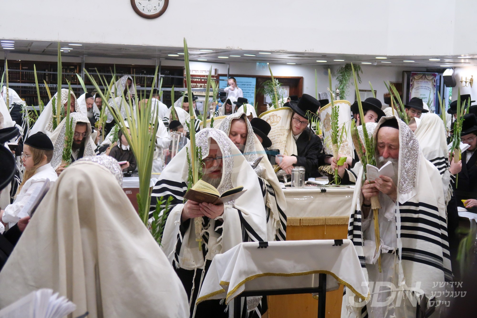 סוכות אין חצר הקודש בוהוש