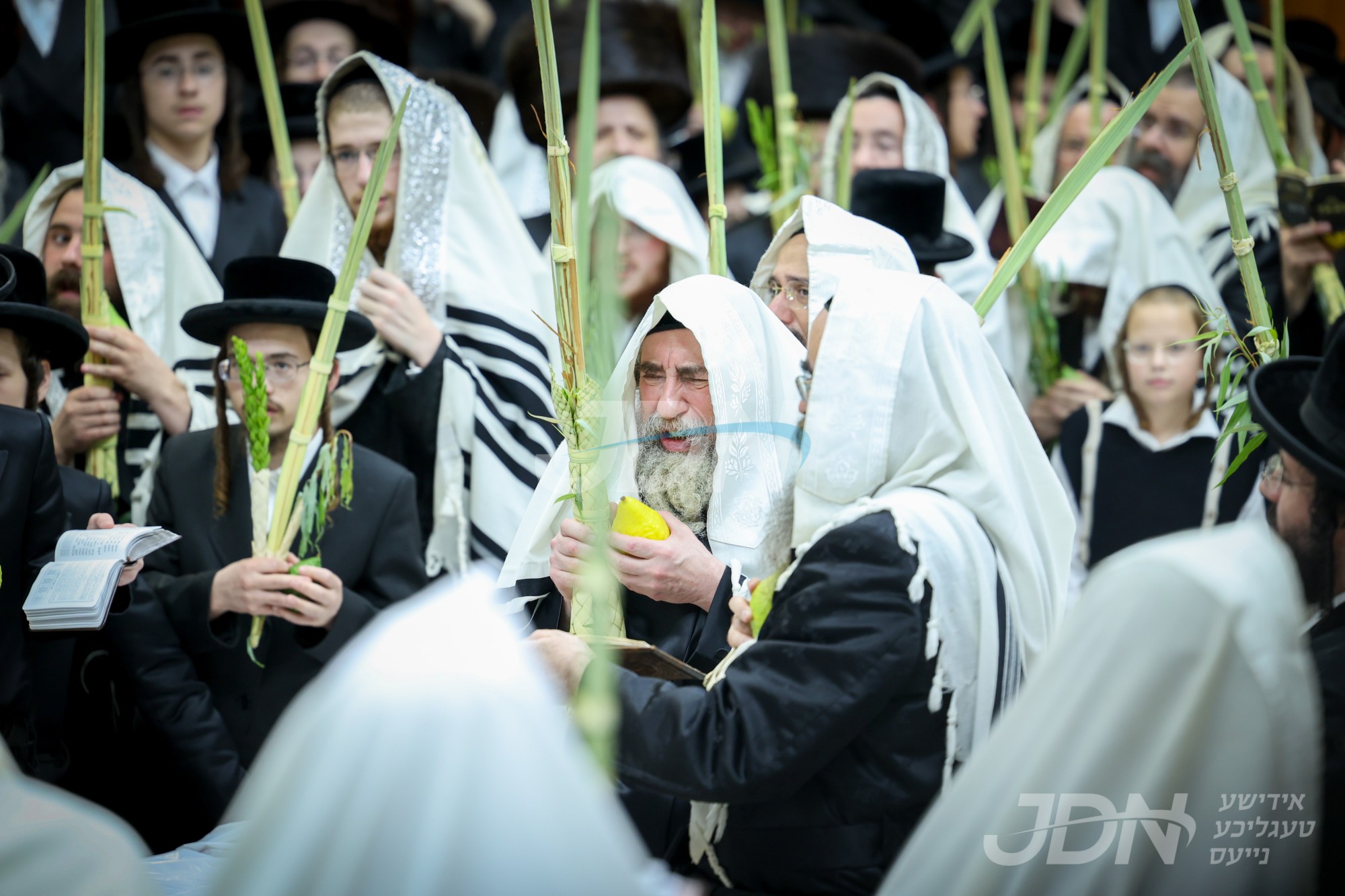 סוכות אין ראחמיסטריווקא