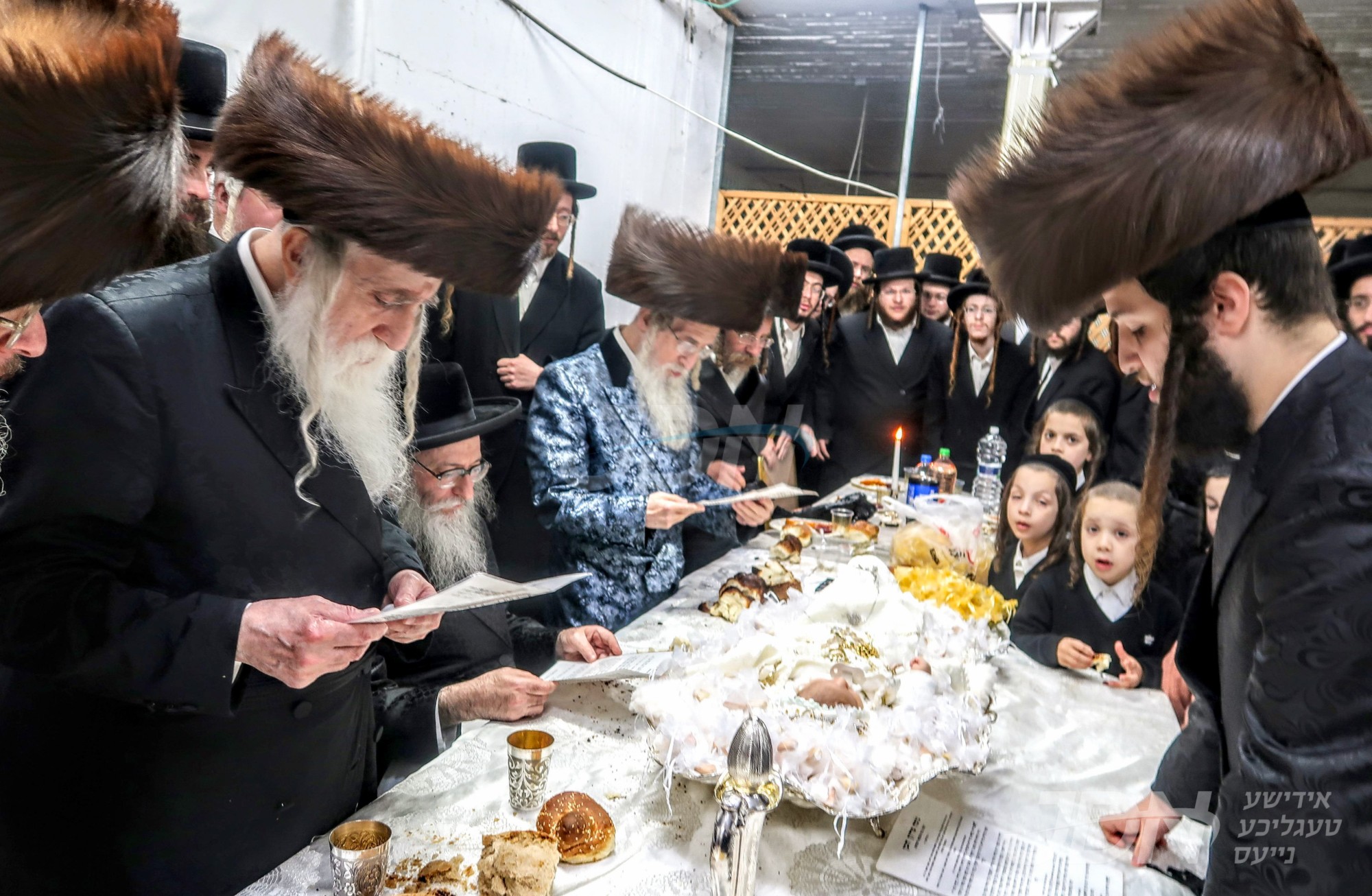 שמחת פדיון הבן בבית מחנובקה בעלזא - מעליץ