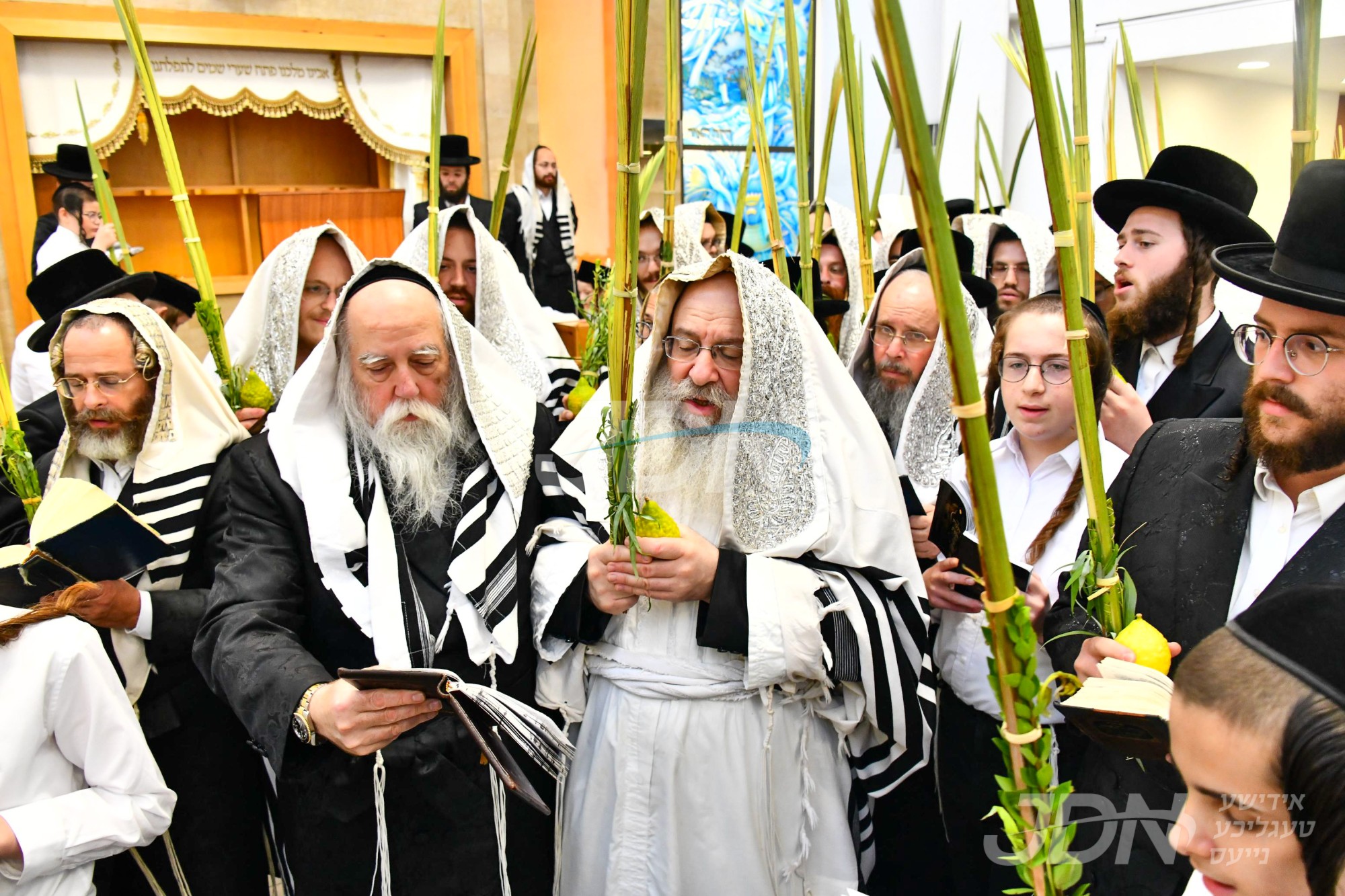 סוכות אין נדבורנה