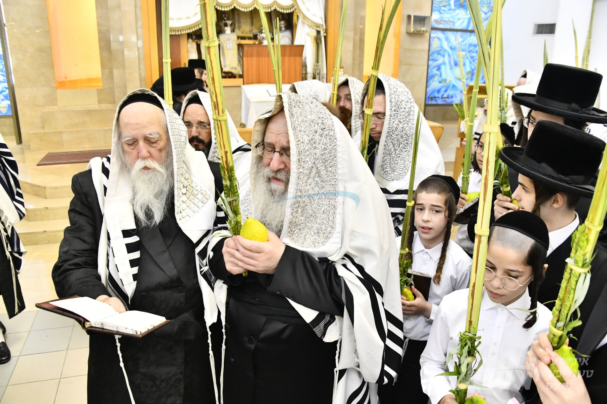 סוכות אין חצר הקודש נדבורנה