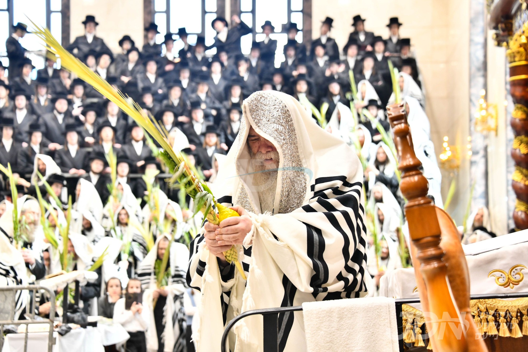 סוכות אין חצר הקודש דאראג