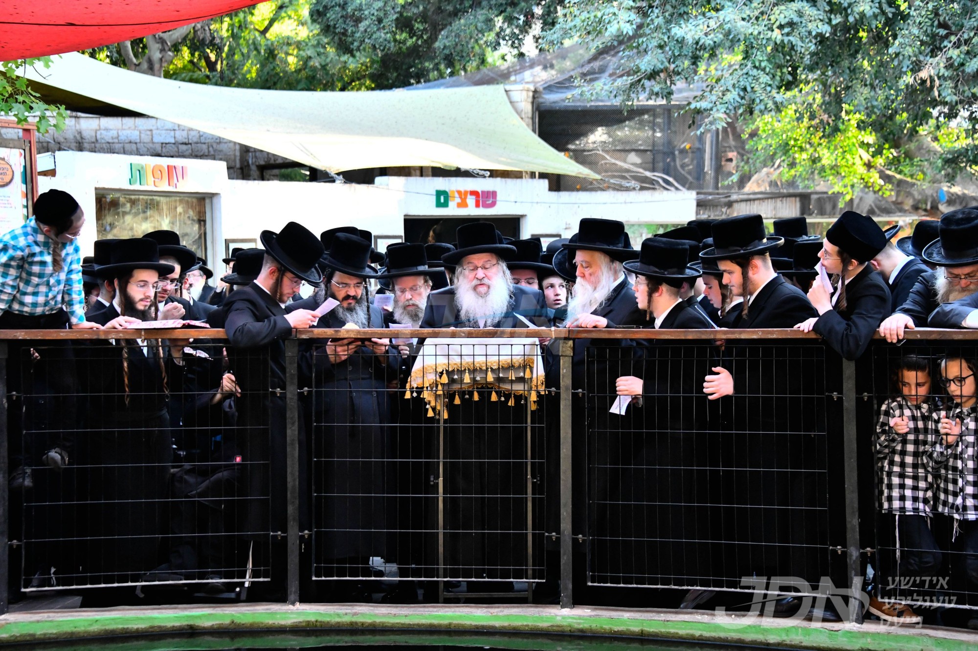 האדמו&quot;ר מנדבורנה ביי תשליך